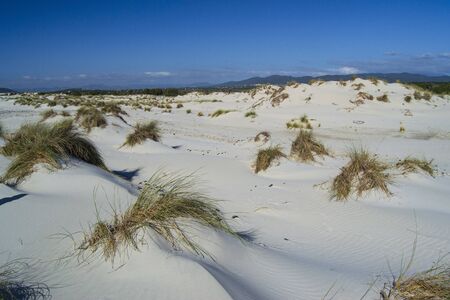 The white dunes of is Arenas Biancas, Teuladaの写真素材