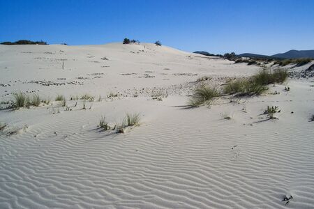 The white dunes of is Arenas Biancas, Teuladaの写真素材