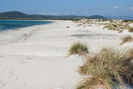 The white dunes of is Arenas Biancas, Teuladaの写真素材