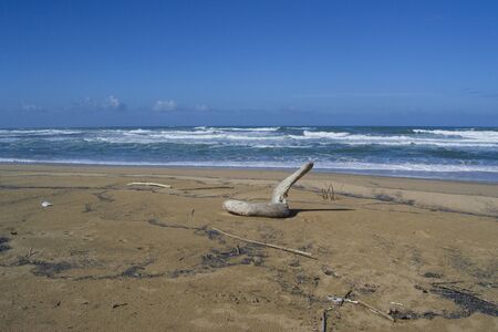 View of Scivu beachの写真素材