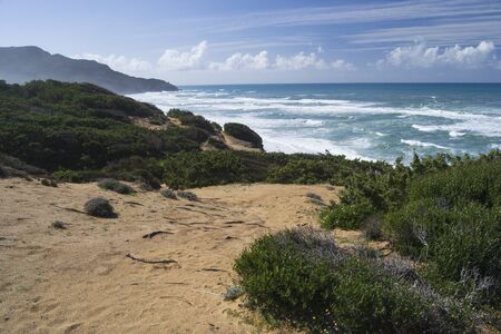 The sand dunes of Scivuの写真素材