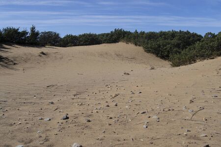 The sand dunes of Scivuの写真素材