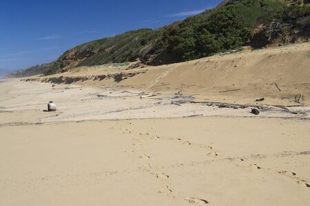 View of Scivu beachの写真素材