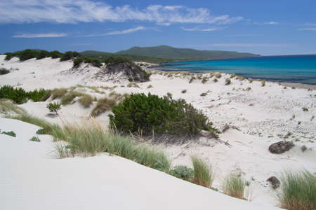 View of the beach and dunes of Arenas Biancasの写真素材