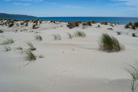 View of the beach and dunes of Arenas Biancasの写真素材