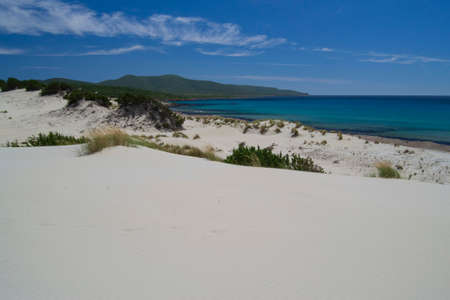 View of the beach and dunes of Arenas Biancasの写真素材