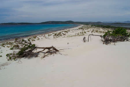 View of the beach and dunes of Arenas Biancasの写真素材
