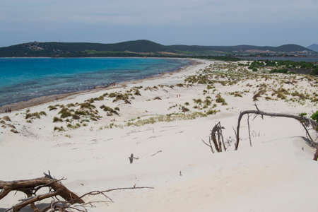 View of the beach and dunes of Arenas Biancasの写真素材