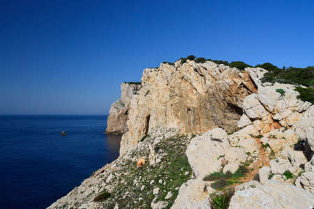 The coast of Capo Cacciaの写真素材