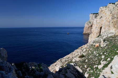 The coast of Capo Cacciaの写真素材