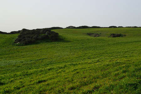 View of the pasture in the countryside Nurraの写真素材