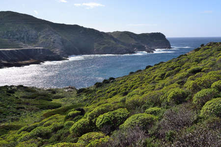 View of Argentiera coastの写真素材