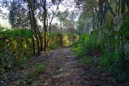 View of the Scala di Malva pathの写真素材