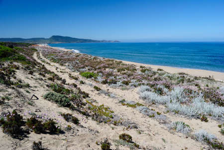View of Poltu Biancu beachの写真素材