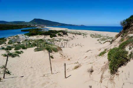 View of the Pirotti Li Frati beach, on the left the Coghinas riverの写真素材