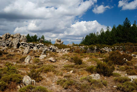 View of Monte Limbaraの写真素材