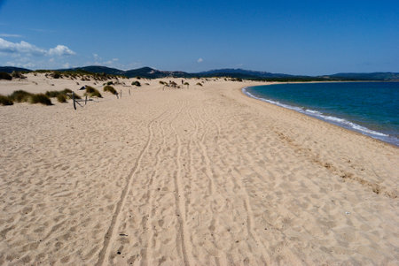 View of Barrabisa beachの写真素材