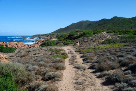 The coast between Cala Sarraina and Cala Faaの写真素材