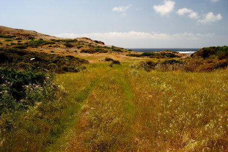 The hinterland of the coast of Cape Argentina in bosaの写真素材