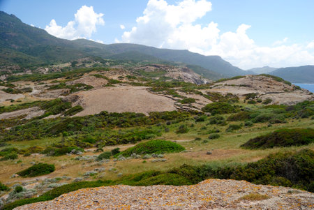 The hinterland of the coast of Cape Argentina in bosaの写真素材