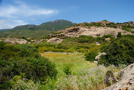 The hinterland of the coast of Cape Argentina in bosaの写真素材
