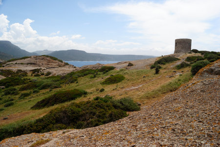 The tower Argentina in Bosaの写真素材