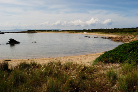 The beach of Punta Negra in Stintinoの写真素材