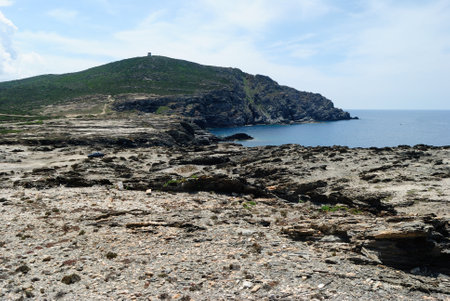 The coast of Capo Falcone in Stintinoの写真素材