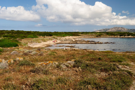 The beach of Punta Negra in Stintinoの写真素材