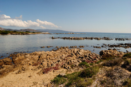 The coast of Punta Negra in Stintinoの写真素材