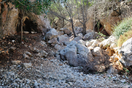 Along the path to Cala Oddonaの写真素材