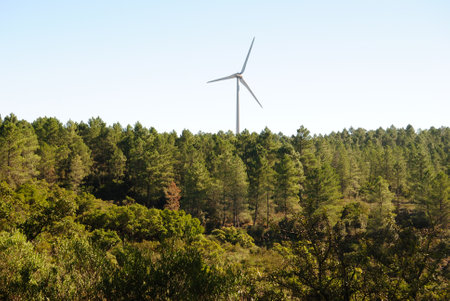 Wind turbines in a Monte Lerno forestの写真素材