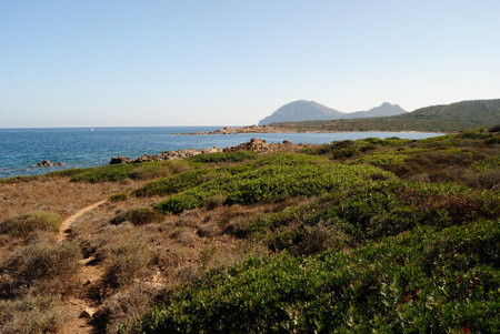 The coast of Golfo Aranciの写真素材