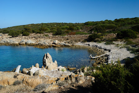 The coast of Golfo Aranciの写真素材