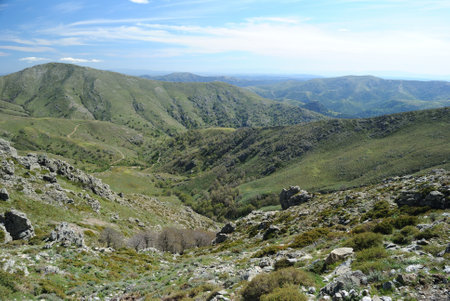 Panoramic views from the path to Punta La Marmora, in the Gennargentu mountainsの写真素材