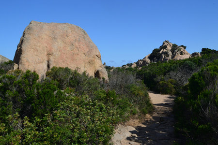 Trail to Cala Napoletana, Capreraの写真素材