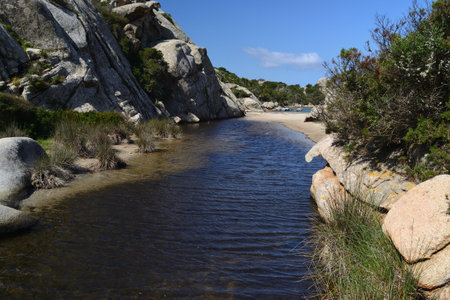 The beach of Cala Caprarese, Capreraの写真素材
