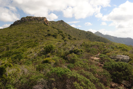 The coast of Punta Argentiera, view of Rocchi di San Nicolaの写真素材