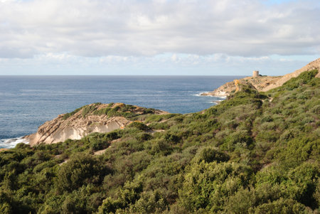 The coast of Punta Argentinaの写真素材