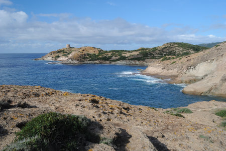 The coast of Punta Argentinaの写真素材