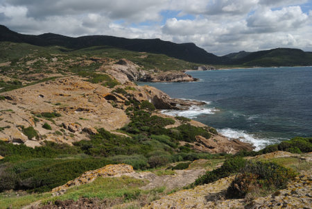 The coast of Punta Argentinaの写真素材