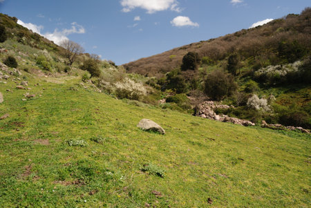 View of natural area of Parco Marianiの写真素材