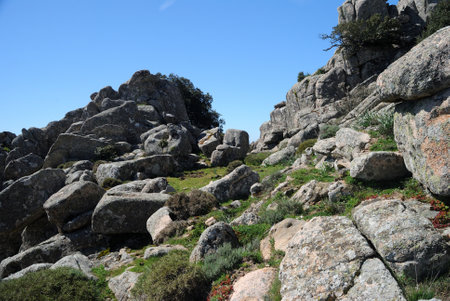Trail to the archaeological nuragic area of Sos Nurattolosの写真素材