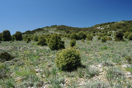 Trekking to nuraghe Mereu and nuraghe Gorropu in the Supramonte of Orgosolo, view of Campo Su Mudrecuの写真素材