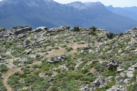 Trekking to Punta Corrasi in the Supramonte of Olienaの写真素材