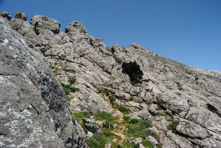 Trekking to Punta Corrasi in the Supramonte of Olienaの写真素材