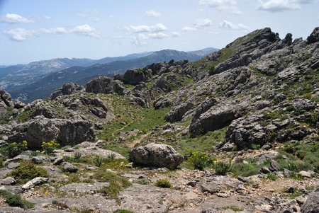 Trekking to Punta Corrasi in the Supramonte of Olienaの写真素材