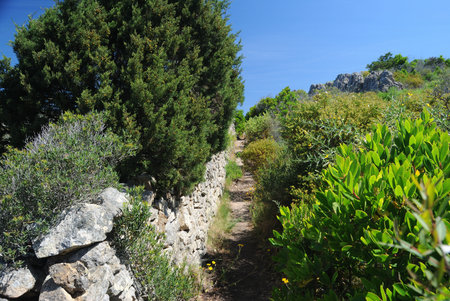 The path to Talmone and Cala di Tranaの写真素材