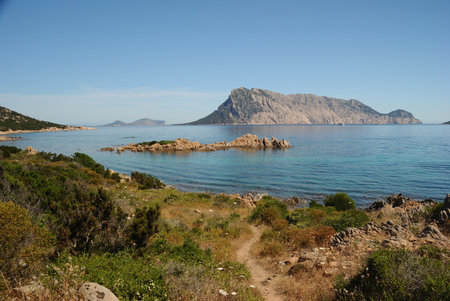 The coast of Punta Molara, with Tavolara Island in the backgroundの写真素材