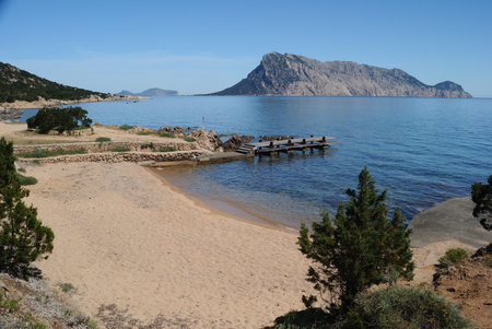 The beach of Punta Molaraの写真素材
